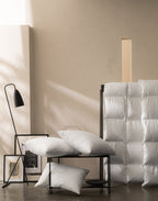 Oreiller Naturel - Duvet Et Plumes
