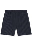 Lucca Regular Pinstriped Shorts - Black Iris / Egret Striped
