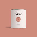 Pot de peinture 0,75L Coral brick - teinte terracotta corail