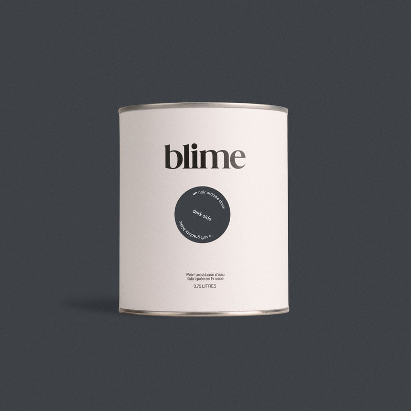 Pot de peinture 0,75L Dark side - teinte noir ardoise