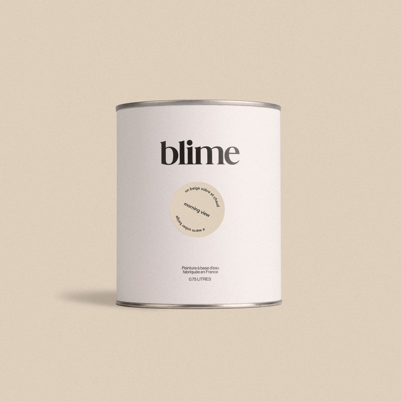 Pot de peinture 0,75L Morning view - teinte beige chaud