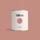 Pot de peinture 0,75L Road trip - teinte terracotta rose