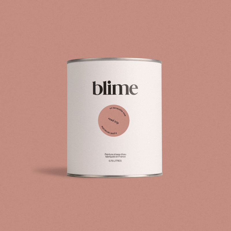 Pot de peinture 0,75L Road trip - teinte terracotta rose