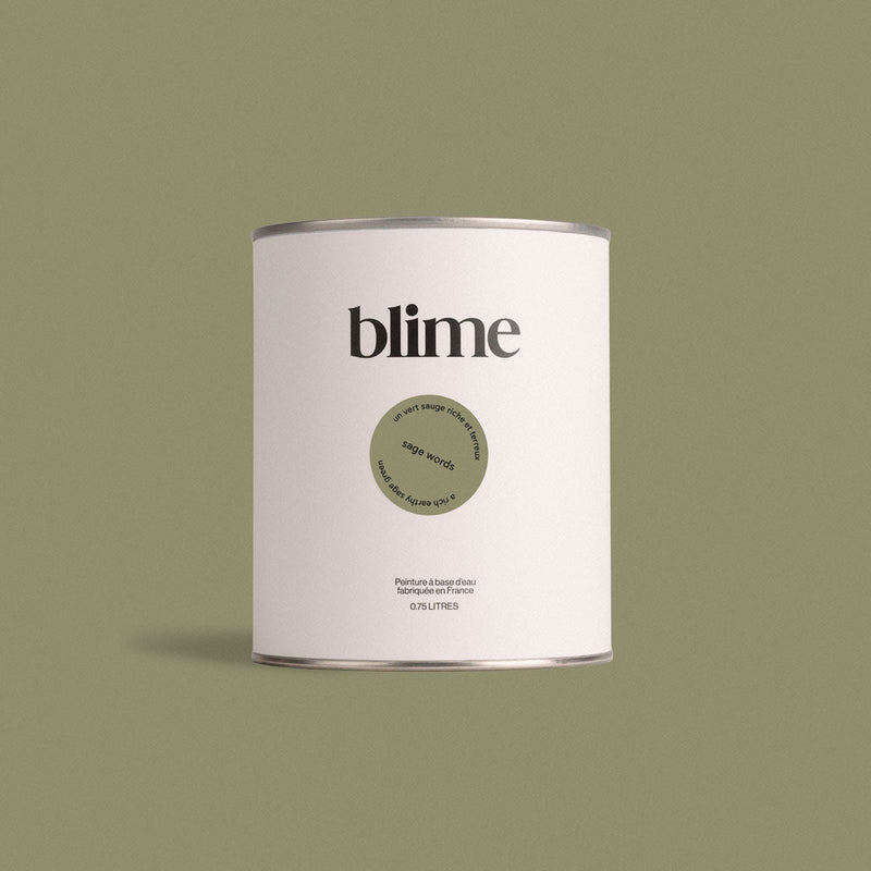 Pot de peinture 0,75L Sage words - teinte verte