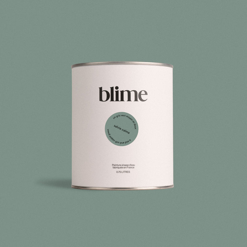 Pot de peinture 0,75L Salvia calma - teinte vert de gris