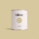 Pot de peinture 0,75L Sunday jersay - teinte vert jaune claire