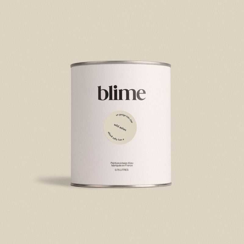 Pot de peinture 0,75L Wild ashes - teinte beige gris