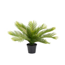 Faux Palmier Cycas 36 cm - INSIDE Box - Shop - Conseil