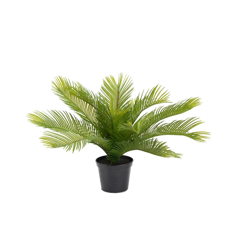 Faux Palmier Cycas 36 cm - INSIDE Box - Shop - Conseil