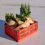 Caja Colour, Medium, rojo