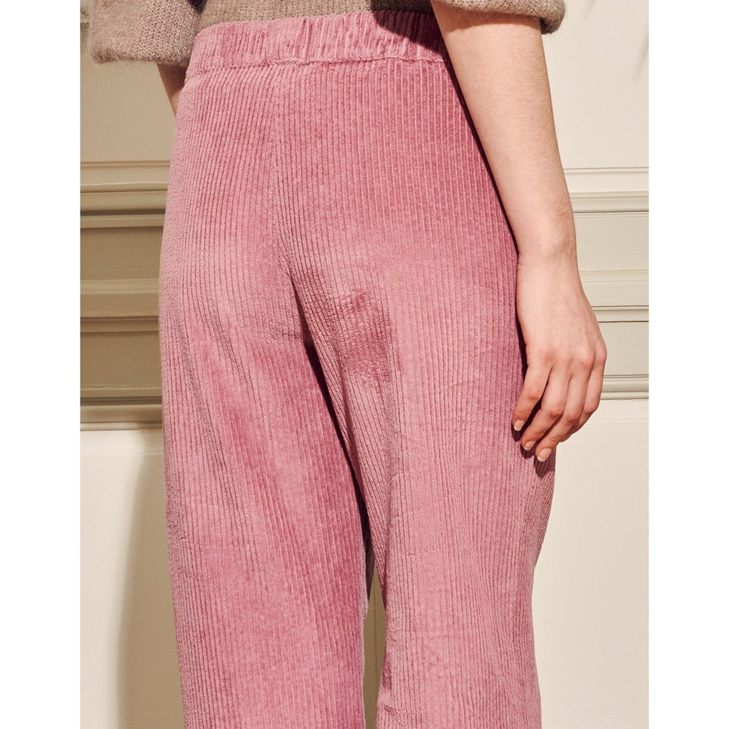 Reiko - Pantalon Felicityvelvh - Purplegrey