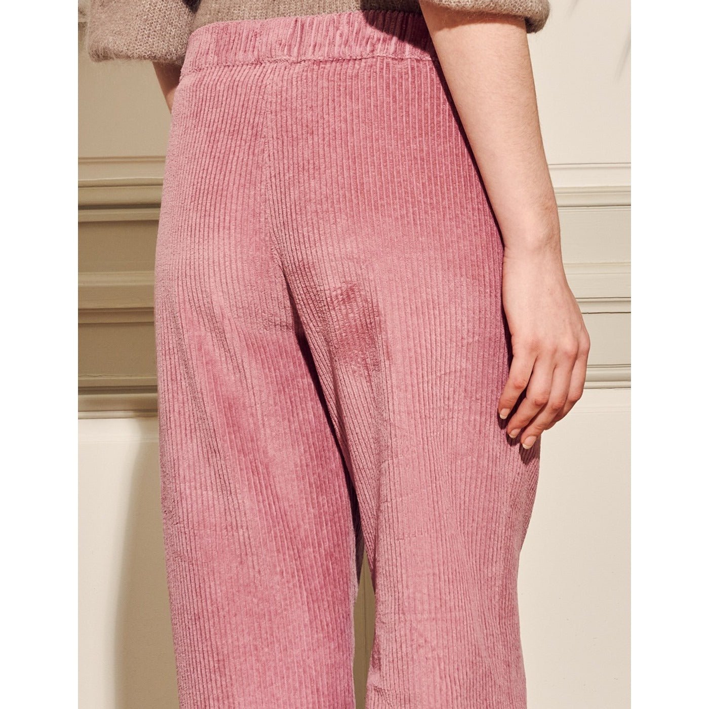 Reiko - Pantalon Felicityvelvh - Purplegrey