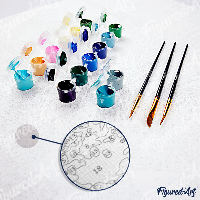 Peinture Par Numéros - Surfeuse Professionnelle