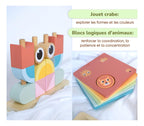 Coffret Montessori Éveil 24 À 36 Mois
