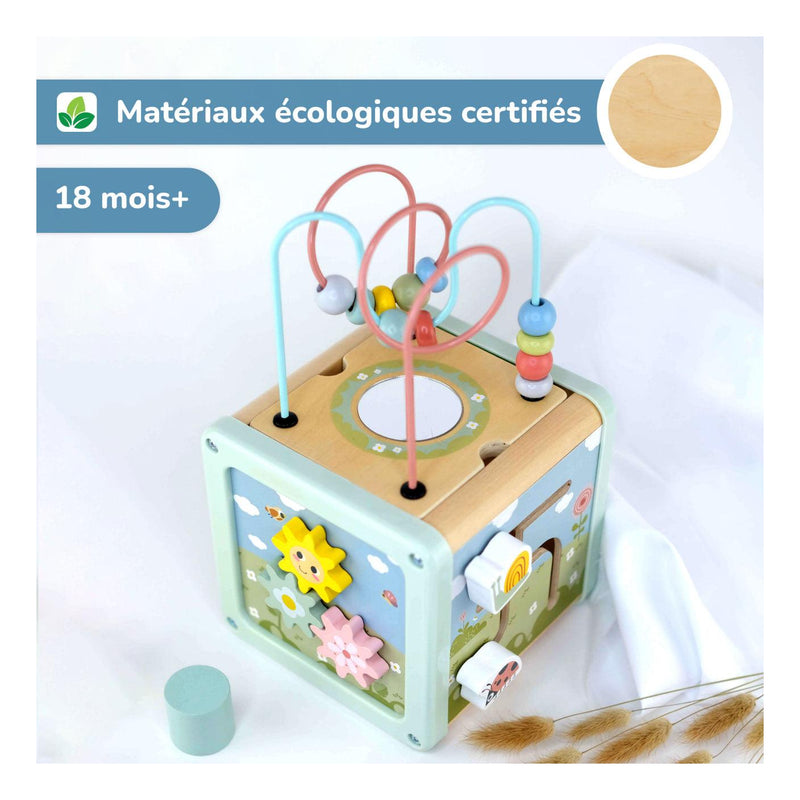 Cube Éducatif Multifonctionnel