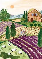 Puzzle 2000 Pièces Pieces & Peace - ProvencePieces & Peace