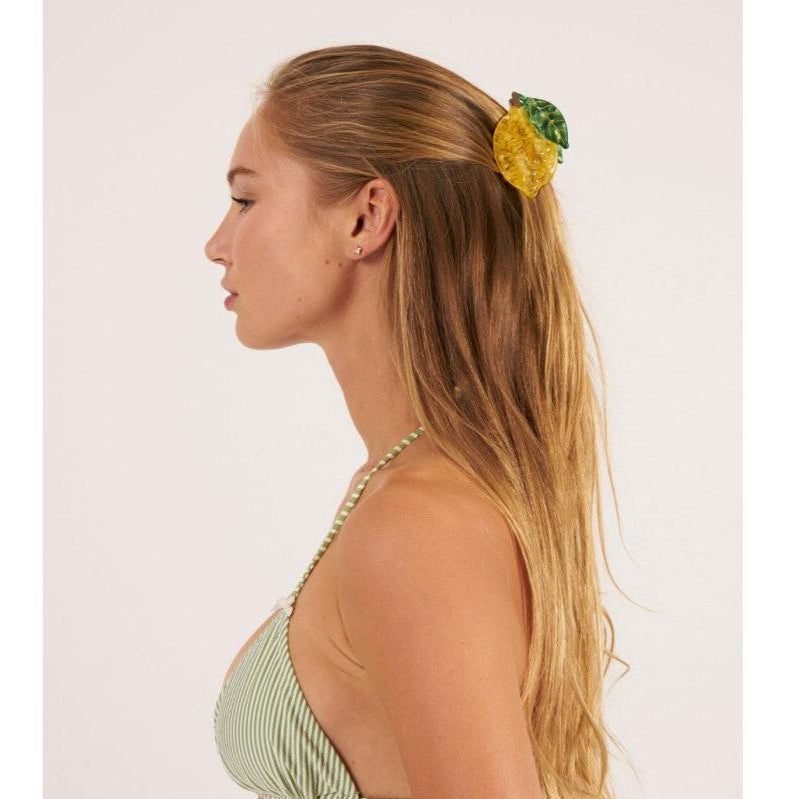 Pinca de pelo limón - Amarillo