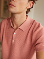 Polo Nolo