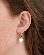 Boucles D'Oreilles Trèfle - Or