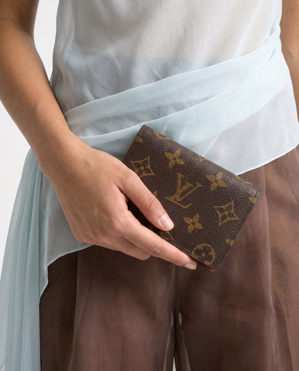 Tarjetero Louis Vuitton