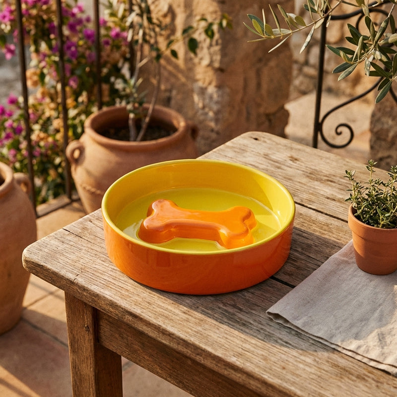 Cuenco de Hueso - Naranja y Amarillo