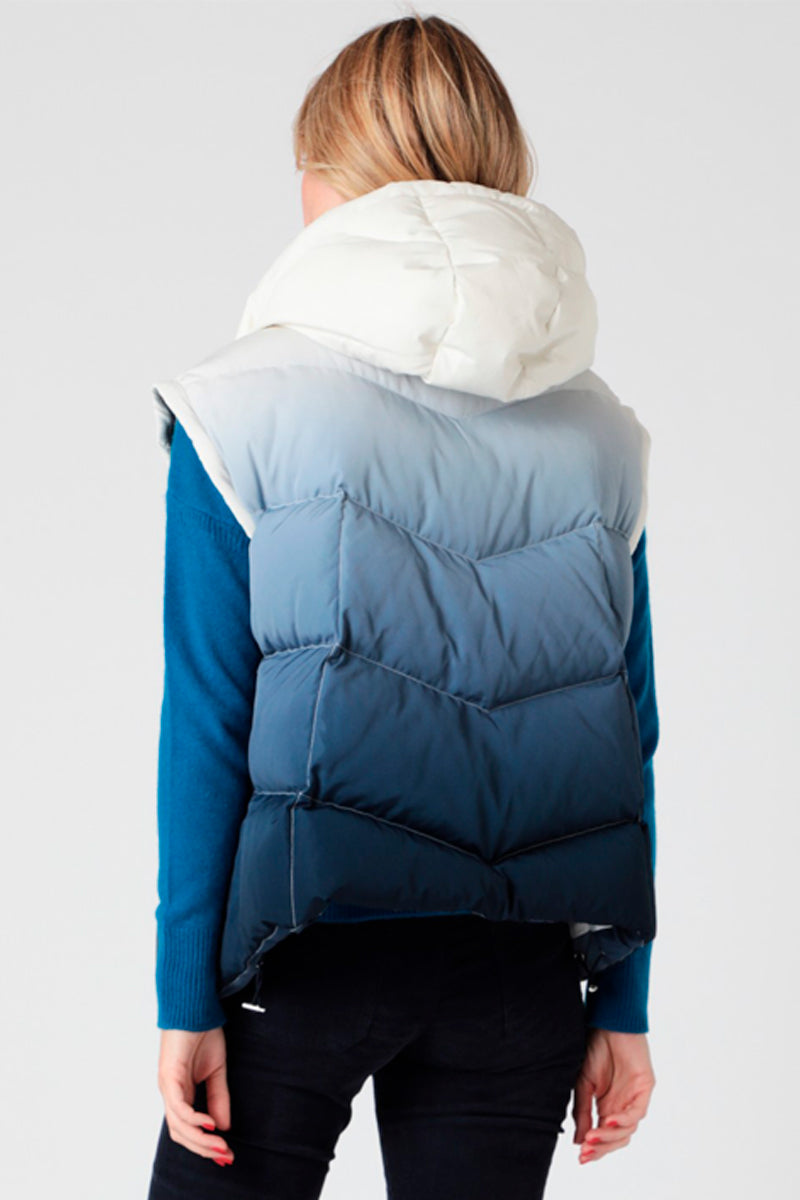 Navy And Blue Hooded Down Jacket Blanc