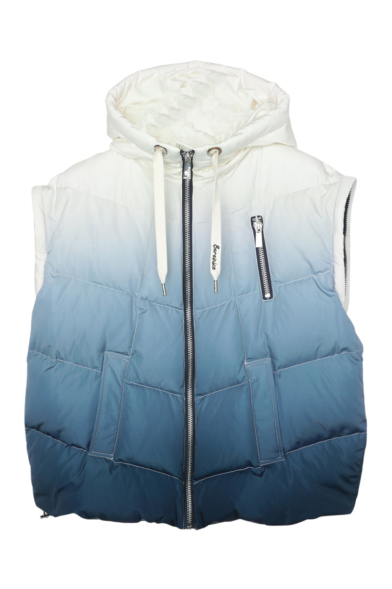 Navy And Blue Hooded Down Jacket Blanc