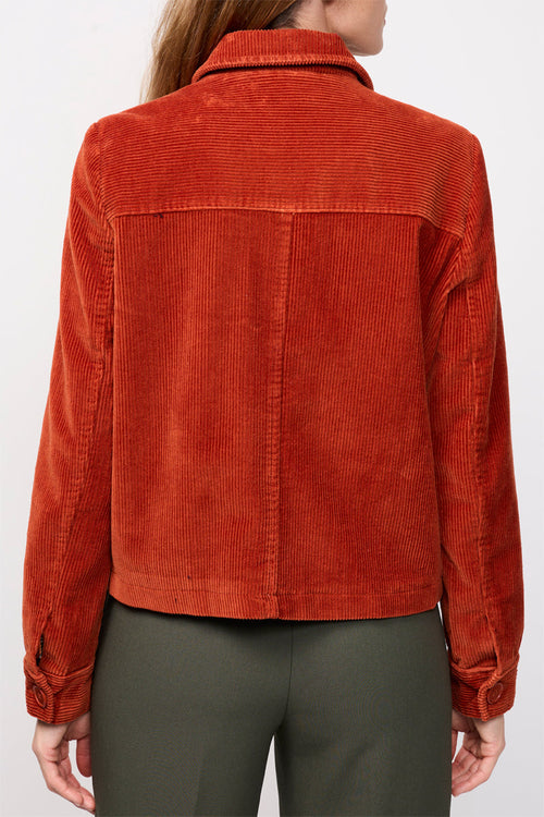 Vestes Ebene