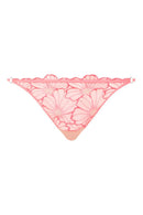 Tanga Lush - Miami Rosa