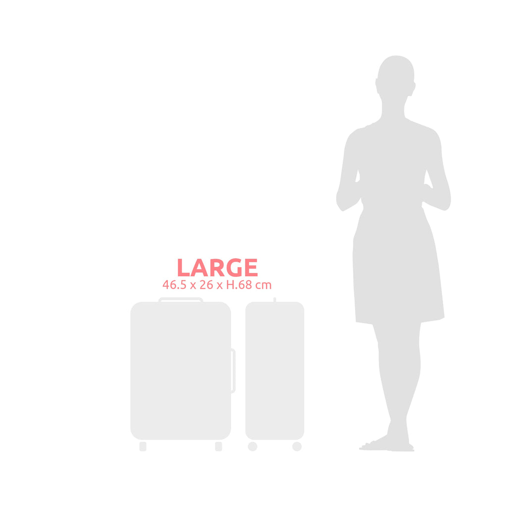 Valise Hybride L