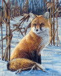 Peinture Par Numéros - Renard Dans La Neige