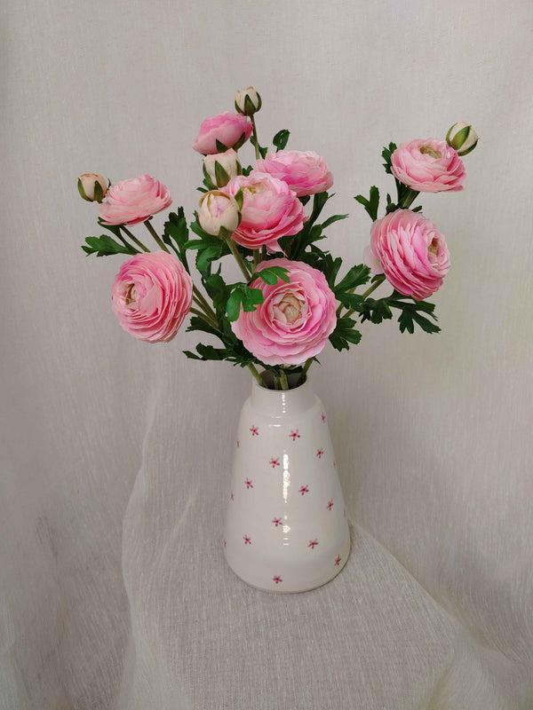 Powder Pink Ranunculus