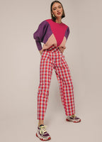 Sweat Robin Tricolor
