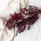 Botte Ruscus Bordeaux