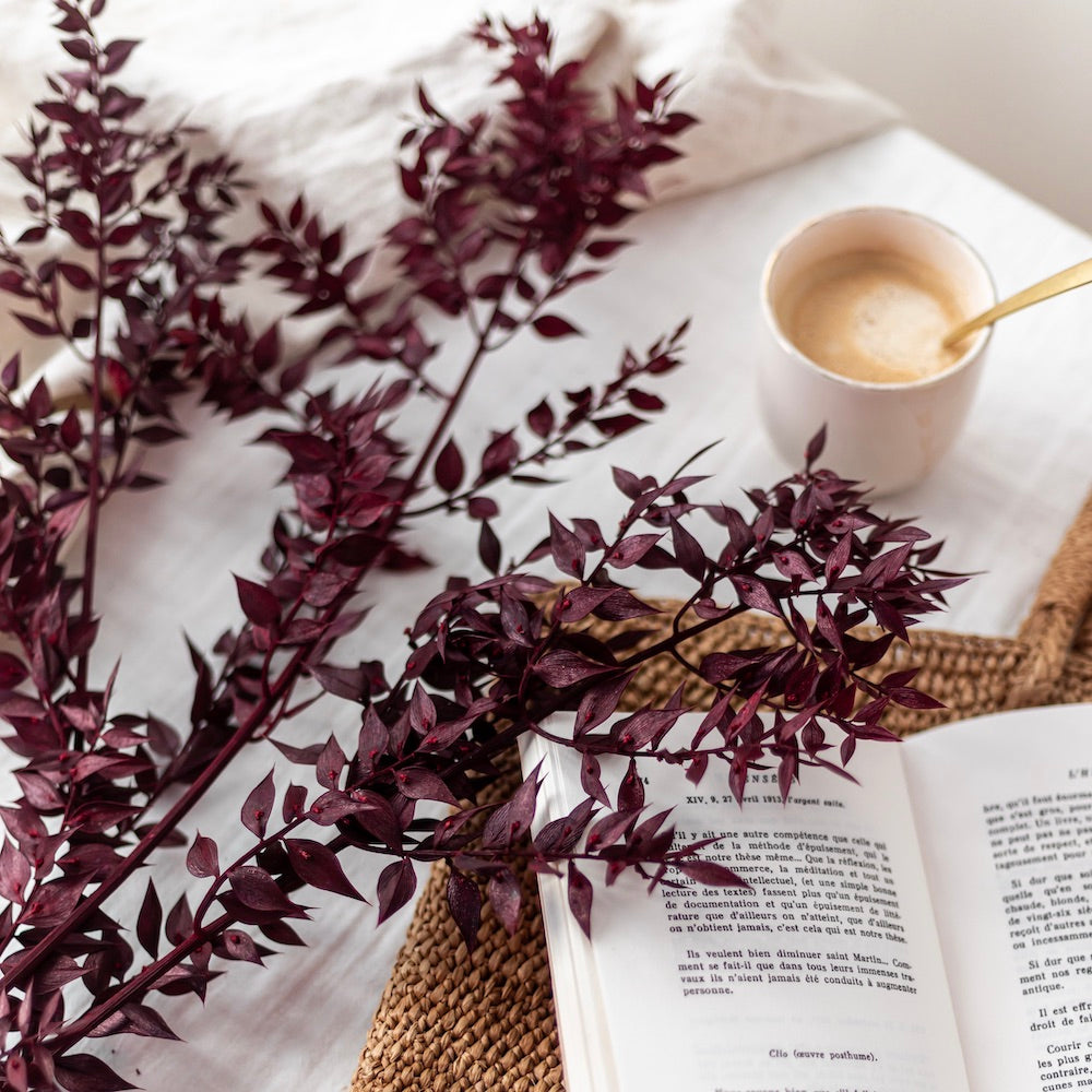 Botte Ruscus Bordeaux