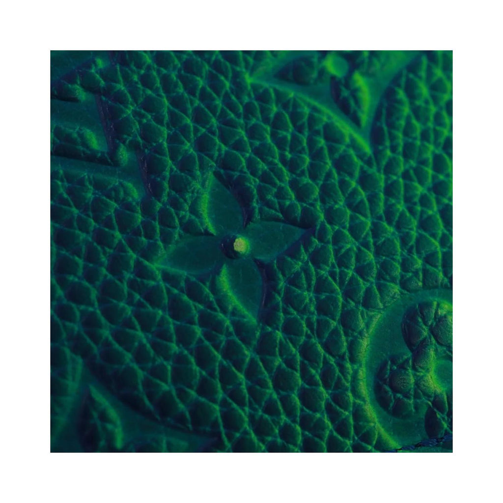 Portefeuille Louis Vuitton Brazza Cuir - Vert