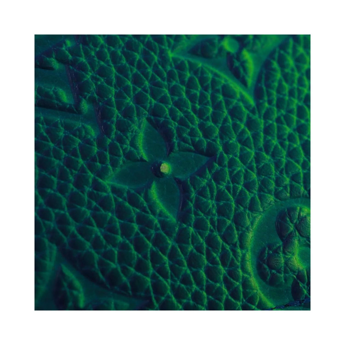Portefeuille Louis Vuitton Brazza Cuir - Vert