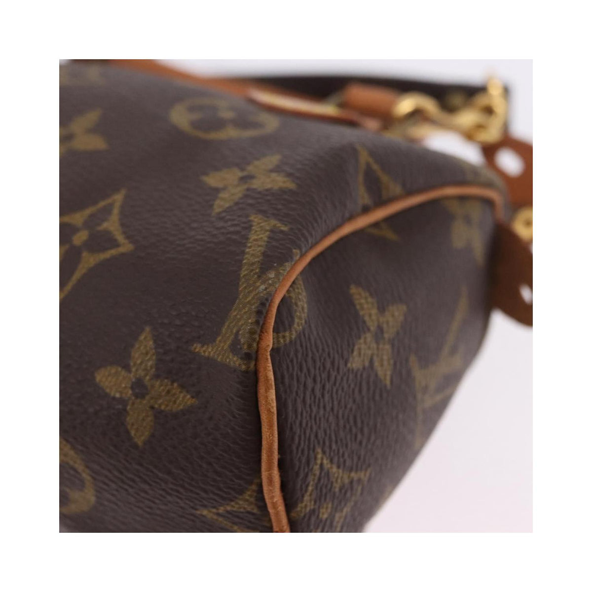 Louis Vuitton Speedy Mini HL Canvas Handbag - Brown