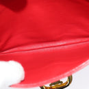 Picture 23
