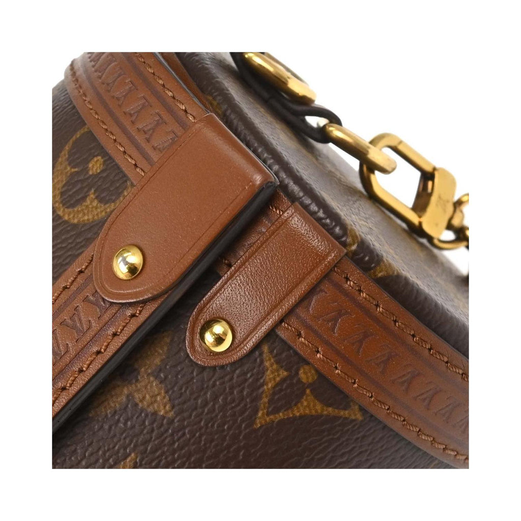 Sac Porté Épaule Louis Vuitton Papillon Trunk Toile - Marron
