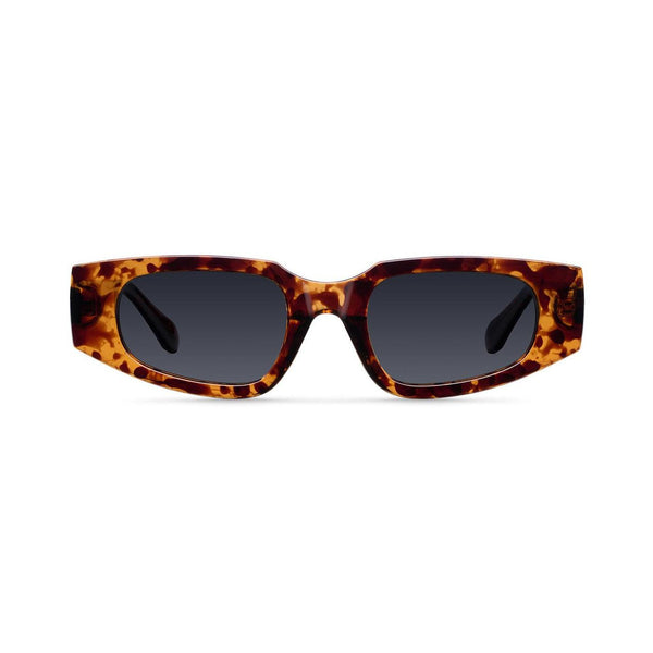 Solbriller Safi Tigris Carbon