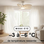 Dahlia | Ventilateur De Plafond – Ø 109 Cm