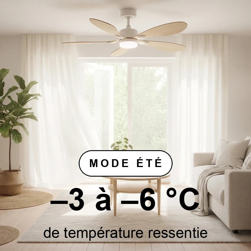 Libellule | Ventilador De Techo – Ø 137 Cm