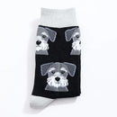 Chaussettes Hautes Toutou Homme