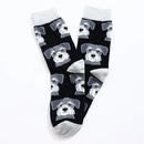 Chaussettes Hautes Toutou Homme