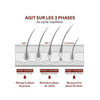 Sérum Anti-Chute Tricho-Boost