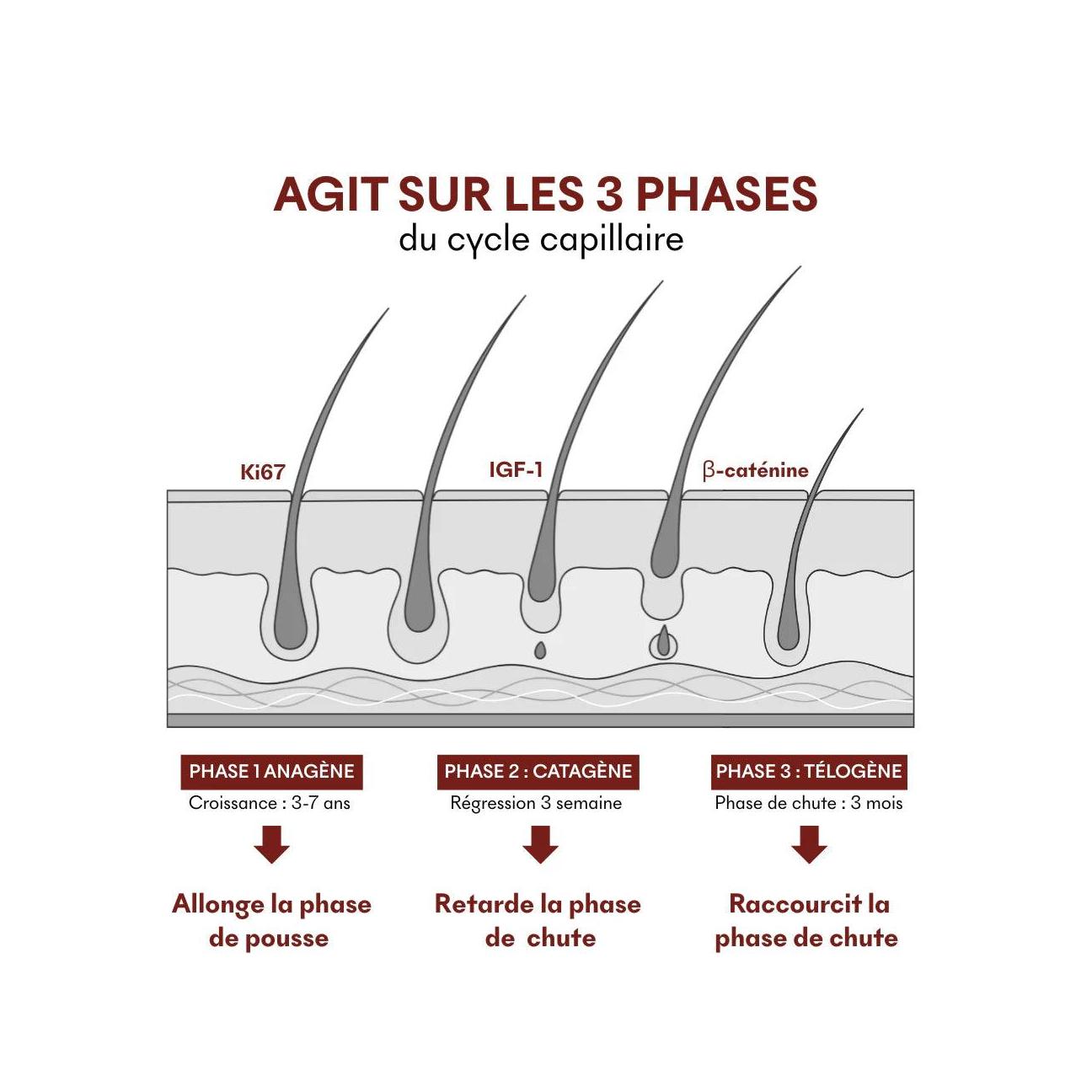 Sérum Anti-Chute Tricho-Boost