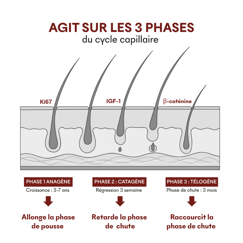 Protocole Anti-Chute Hormonale