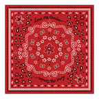 Servilleta de papel Bandana