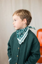 Small Foulard Manika Tigro